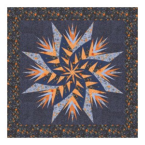 40x40 